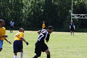 OTFL Gallery Image